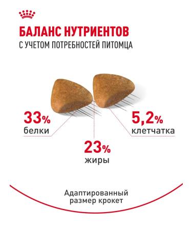 Royal Canin Dry food for cats sphinx ADULT 2 kg - Buy Online on GoSupps.com