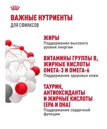 Royal Canin Dry food for cats sphinx ADULT 10 kg - Buy Online on GoSupps.com