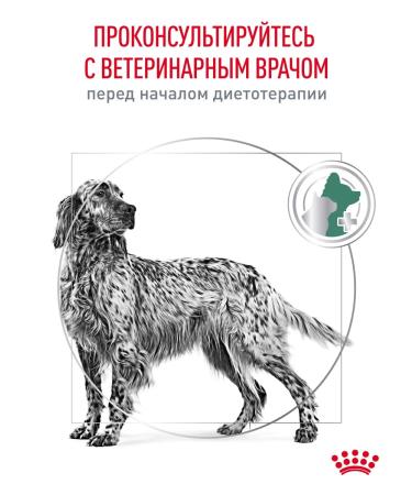 ROYAL CANIN Dry food for dogs Satiety Weight Management 1.5 kg - Buy Online on GoSupps.com