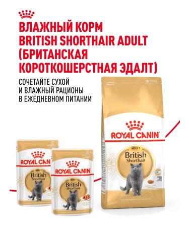 ROYAL CANIN Dry food for British cats British Adult 2 kg - Buy Online on GoSupps.com