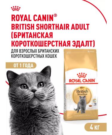 ROYAL CANIN Dry food for British cats British Adult 4 kg
