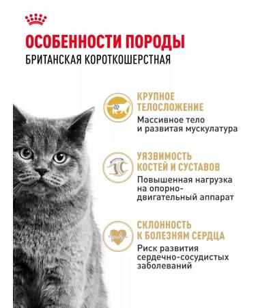 ROYAL CANIN Dry food for British cats British Adult 4 kg - Buy Online on GoSupps.com