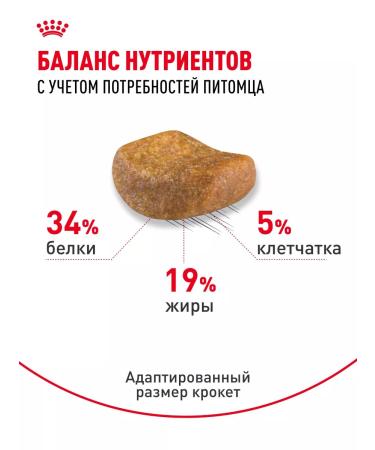 ROYAL CANIN Dry food for British cats British Adult 4 kg - Buy Online on GoSupps.com