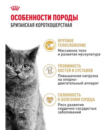 Royal Canin Dry food for British cats British Adult 10 kg - Buy Online on GoSupps.com