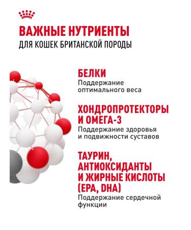 Royal Canin Dry food for British cats British Adult 10 kg - Buy Online on GoSupps.com