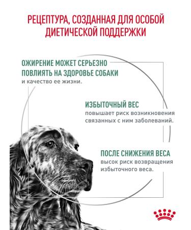 Royal Canin Dry food for dogs Satiety Weight Management 12 kg - Buy Online on GoSupps.com