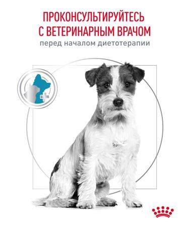 ROYAL CANIN Dry food for dogs of small breeds Hypoallergenic 1 kg - Buy Online on GoSupps.com