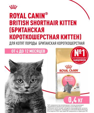 ROYAL CANIN Dry food for British kittens British Kitten 400 g
