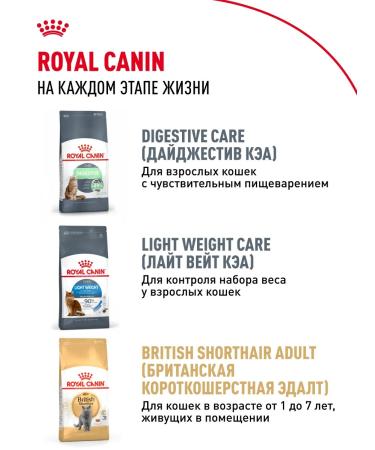 ROYAL CANIN Dry food for British kittens British Kitten 400 g - Buy Online on GoSupps.com