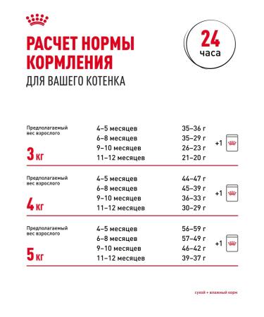 ROYAL CANIN Dry food for British kittens British Kitten 2 kg - Buy Online on GoSupps.com