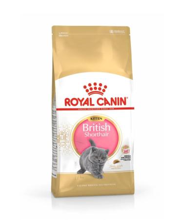 ROYAL CANIN Dry food for British kittens British Kitten 2 kg - Buy Online on GoSupps.com