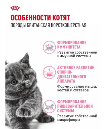 ROYAL CANIN Dry food for British kittens British Kitten 2 kg - Buy Online on GoSupps.com