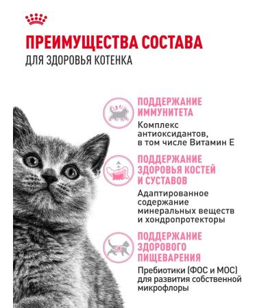 ROYAL CANIN Dry food for British kittens British Kitten 2 kg - Buy Online on GoSupps.com