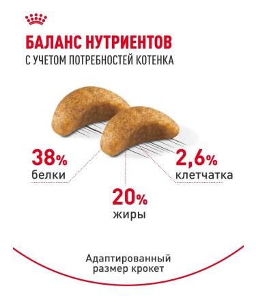 ROYAL CANIN Dry food for British kittens British Kitten 2 kg - Buy Online on GoSupps.com