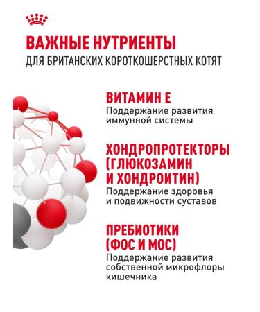 ROYAL CANIN Dry food for British kittens British Kitten 2 kg - Buy Online on GoSupps.com