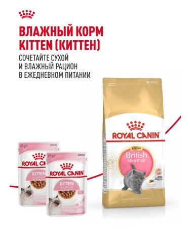 ROYAL CANIN Dry food for British kittens British Kitten 2 kg - Buy Online on GoSupps.com