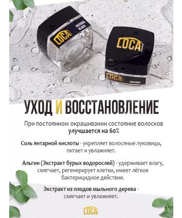 LOCA professional Professional paint for eyebrows and eyelashes persistent set - Buy Online on GoSupps.com