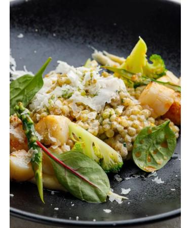 NOYER Paste Pearl Bird 2000 - Buy Online on GoSupps.com