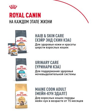 ROYAL CANIN Dry food for kittens Maine Kun Kitten 400 g - Buy Online on GoSupps.com