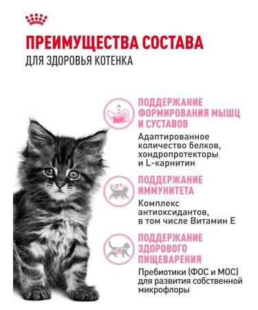 ROYAL CANIN Dry food for kittens Maine Kun Kitten 400 g - Buy Online on GoSupps.com