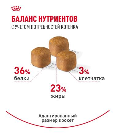 ROYAL CANIN Dry food for kittens Maine Kun Kitten 400 g - Buy Online on GoSupps.com