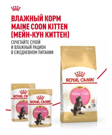 ROYAL CANIN Dry food for kittens Maine Kun Kitten 400 g - Buy Online on GoSupps.com