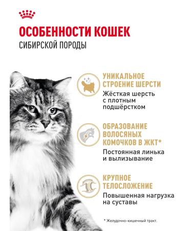 Royal Canin Dry food for Siberian cats Adult 400 g - Buy Online on GoSupps.com
