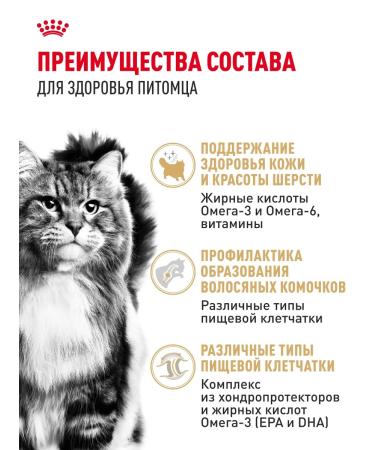 Royal Canin Dry food for Siberian cats Adult 400 g - Buy Online on GoSupps.com