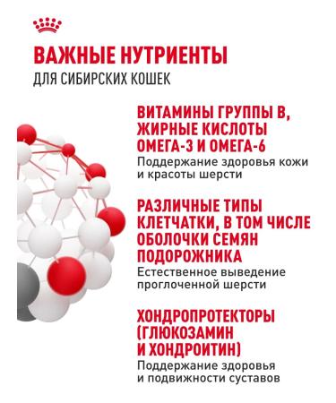 Royal Canin Dry food for Siberian cats Adult 400 g - Buy Online on GoSupps.com