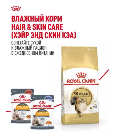 Royal Canin Dry food for Siberian cats Adult 400 g - Buy Online on GoSupps.com