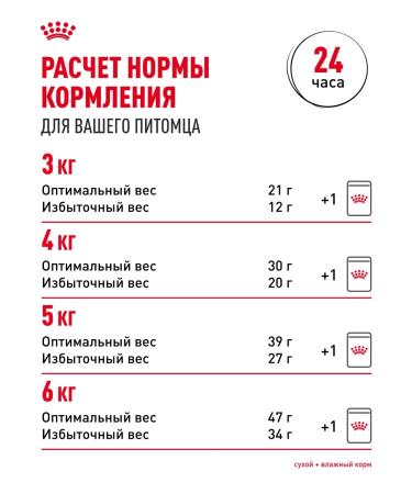 Royal Canin Dry food for Siberian cats Adult 400 g - Buy Online on GoSupps.com