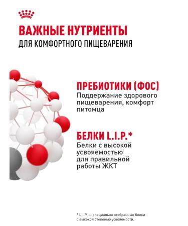 ROYAL CANIN Dry food for cats Sensible 33 2 kg - Buy Online on GoSupps.com