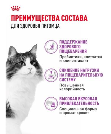 Royal Canin Dry food for cats Sensible 33 4 kg - Buy Online on GoSupps.com