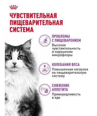 Royal Canin Dry food for cats Sensible 33 400 g - Buy Online on GoSupps.com