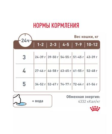 ROYAL CANIN Dry food for kittens 2-10 months for digestion - 2 kg - Buy Online on GoSupps.com