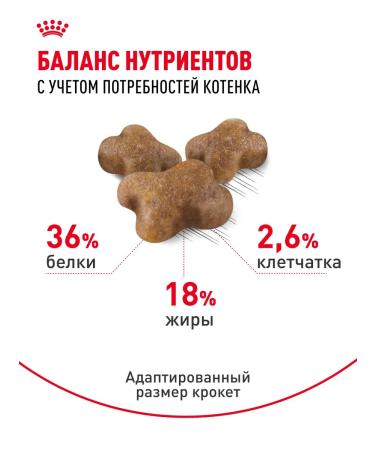 ROYAL CANIN Dry food for kittens from 4 to 12 months Kitten 1.2 kg - Buy Online on GoSupps.com