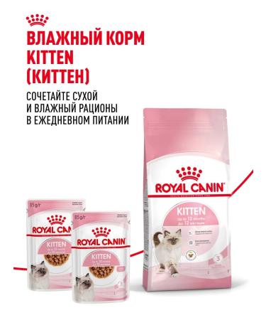 ROYAL CANIN Dry food for kittens from 4 to 12 months Kitten 1.2 kg - Buy Online on GoSupps.com