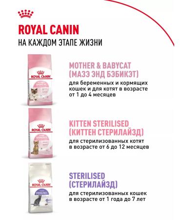 ROYAL CANIN Dry food for kittens from 4 to 12 months Kitten 2 kg - Buy Online on GoSupps.com
