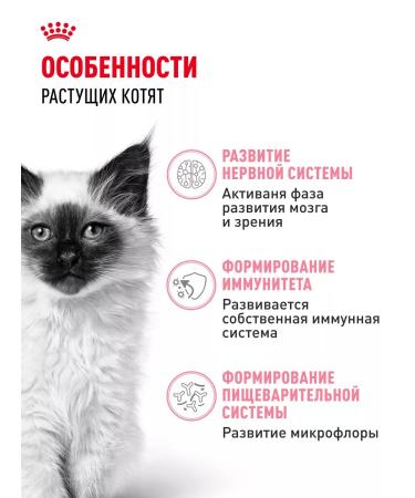 ROYAL CANIN Dry food for kittens from 4 to 12 months Kitten 2 kg - Buy Online on GoSupps.com