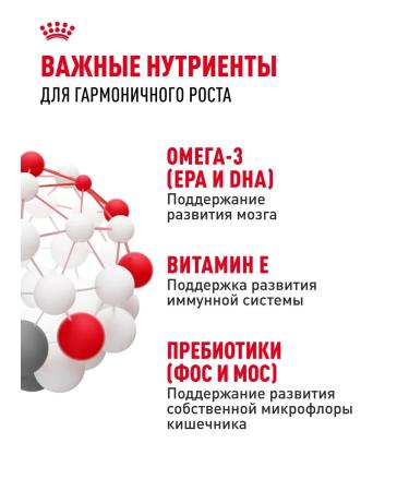 ROYAL CANIN Dry food for kittens from 4 to 12 months Kitten 2 kg - Buy Online on GoSupps.com