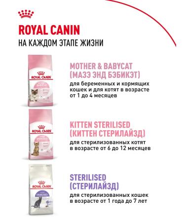ROYAL CANIN Dry food for kittens from 4 to 12 months Kitten 4 kg - Buy Online on GoSupps.com