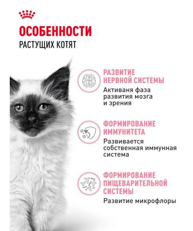 ROYAL CANIN Dry food for kittens from 4 to 12 months Kitten 4 kg - Buy Online on GoSupps.com