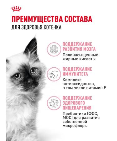 ROYAL CANIN Dry food for kittens from 4 to 12 months Kitten 4 kg - Buy Online on GoSupps.com