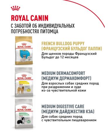 Royal Canin Dry food for dogs of breed French bulldog 3 kg - Buy Online on GoSupps.com