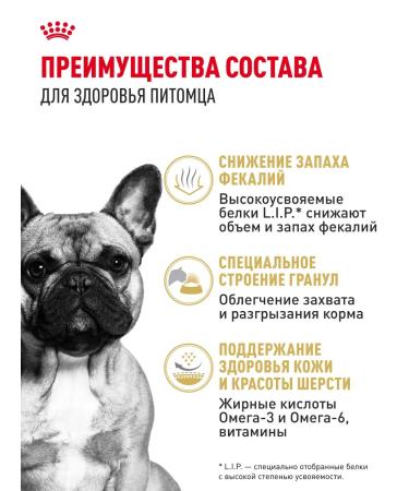 Royal Canin Dry food for dogs of breed French bulldog 3 kg - Buy Online on GoSupps.com