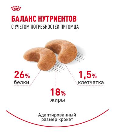 Royal Canin Dry food for dogs of breed French bulldog 3 kg - Buy Online on GoSupps.com