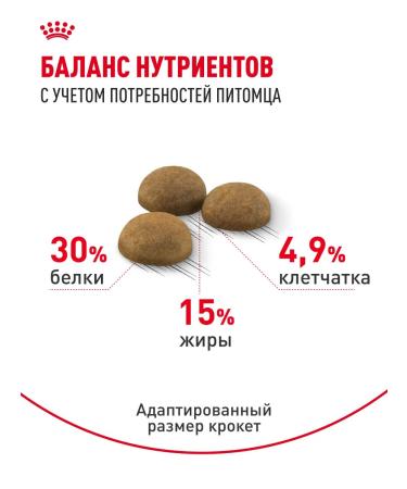 ROYAL CANIN Dry food for long -haired cats Indoor Long Hair 2 kg - Buy Online on GoSupps.com