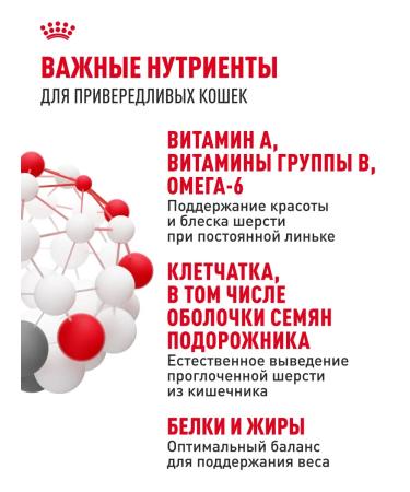 ROYAL CANIN Dry food for long -haired cats Indoor Long Hair 2 kg - Buy Online on GoSupps.com