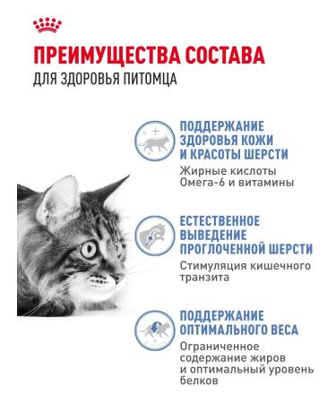 Royal Canin Dry food for long -haired cats Indoor Long Hair 10 kg - Buy Online on GoSupps.com