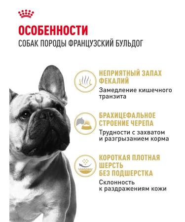 Royal Canin Dry food for dogs breed French bulldog 9 kg - Buy Online on GoSupps.com